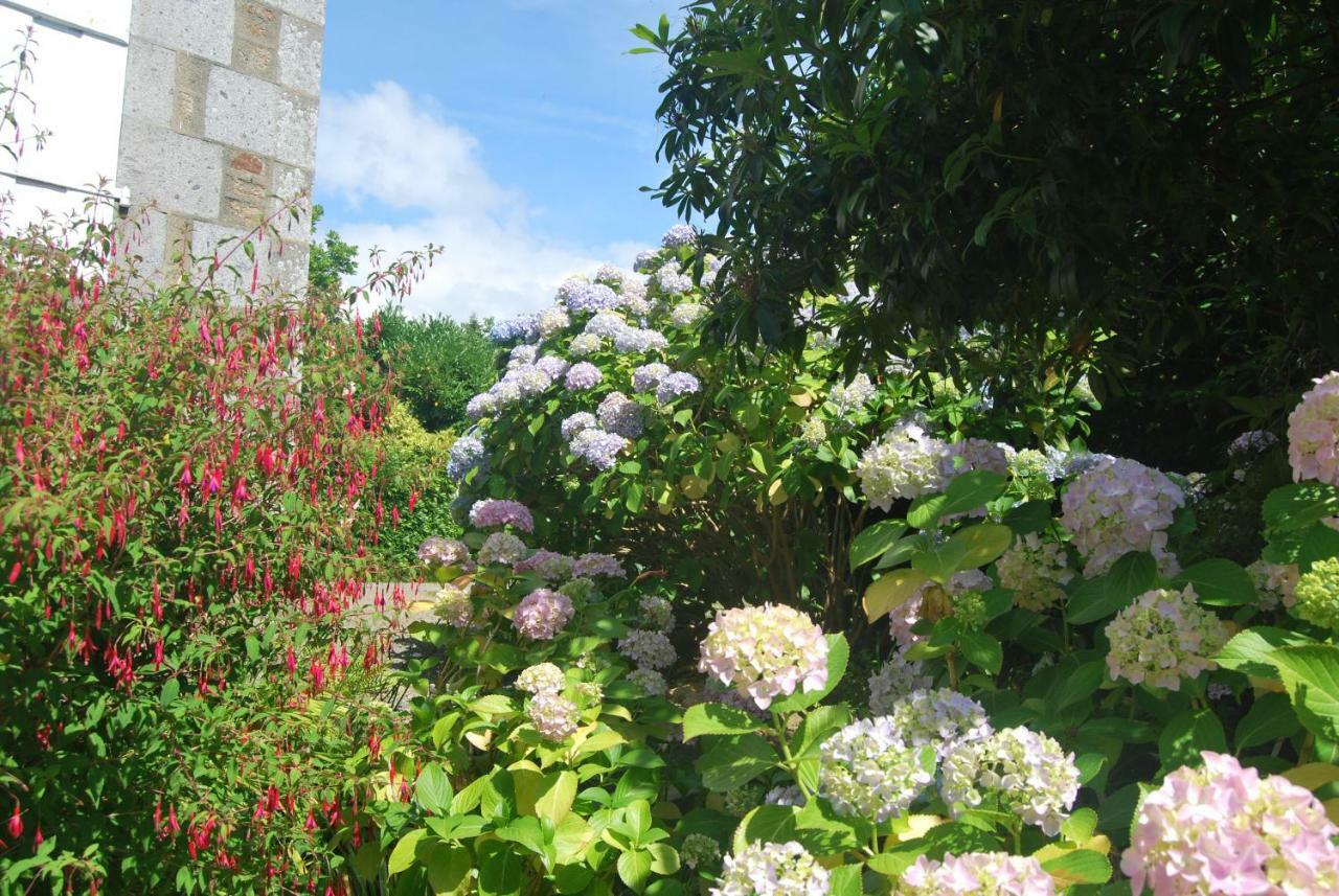 B&B Le Mesnil Saint-Senier-sous-Avranches Exterior photo